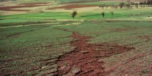 sheet erosion